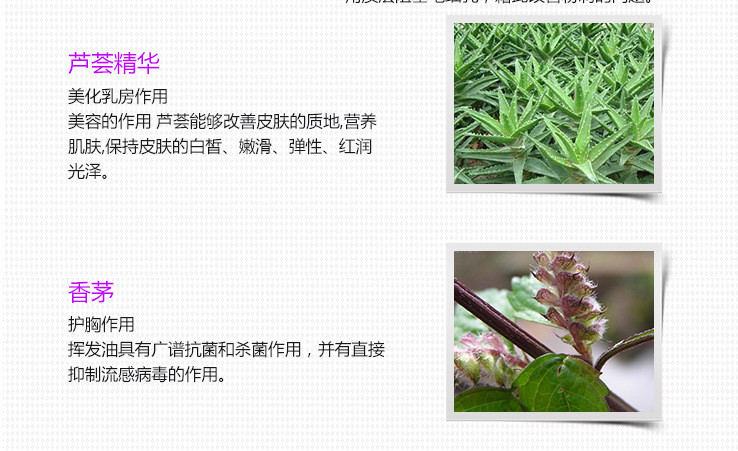 HOT-44070草本丰挺膏详情页7